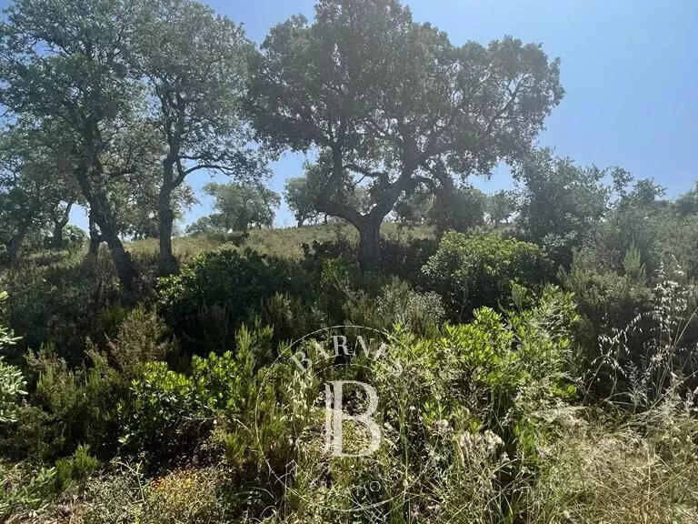 Vente Terrain Bormes-les-Mimosas