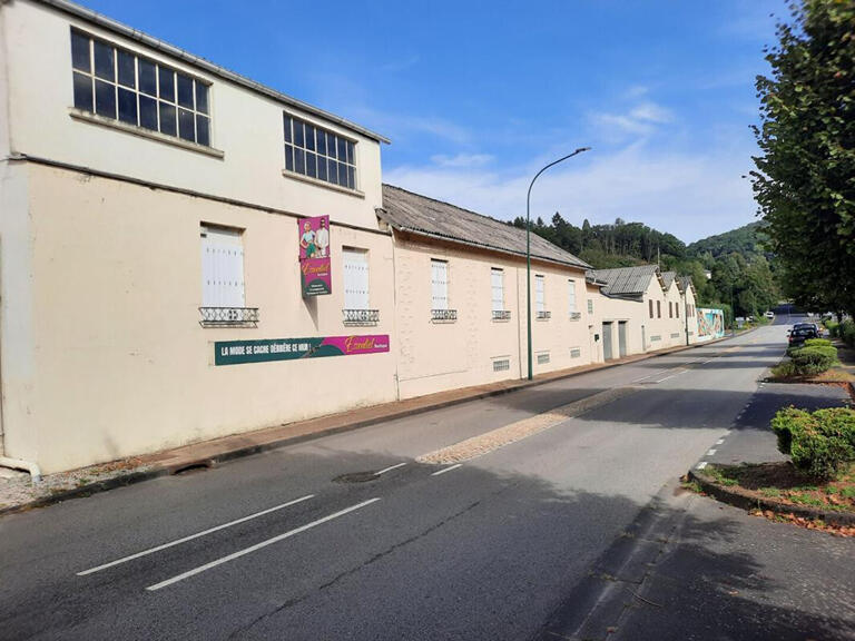 Vente Maison Bort-les-Orgues - 3 chambres