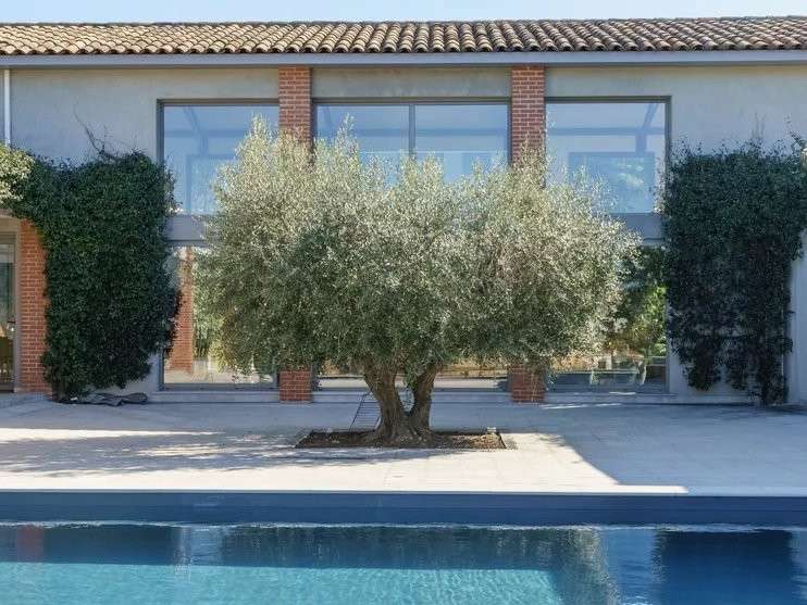 Villa Bouc-Bel-Air - 5 chambres - 460m²