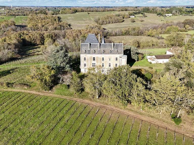 Château Bouliac - 8 chambres - 900m²