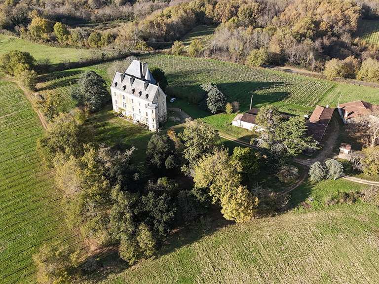 Castle Bouliac - 8 bedrooms - 900m²