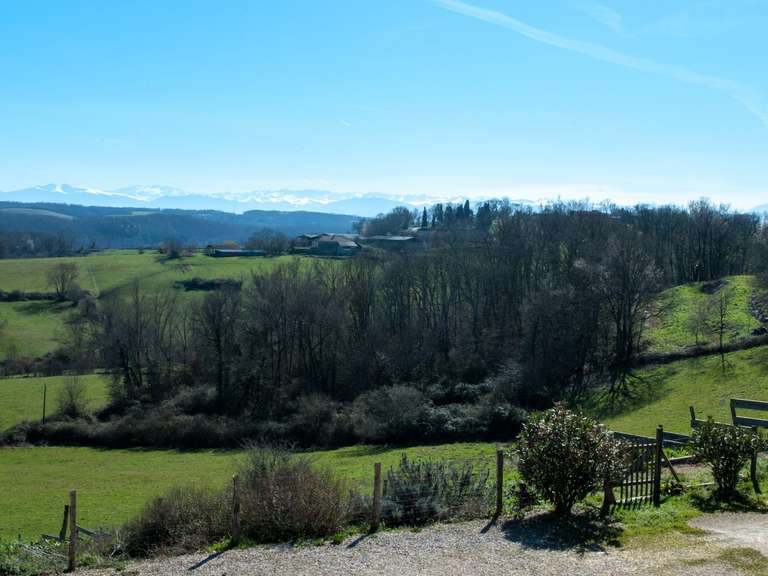 Maison Boulogne-sur-Gesse - 6 chambres - 330m²