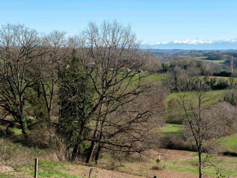 Maison Boulogne-sur-Gesse - 6 chambres - 330m²