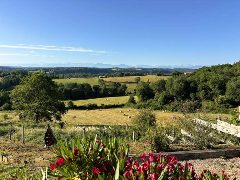 Maison Boulogne-sur-Gesse - 6 chambres - 330m²