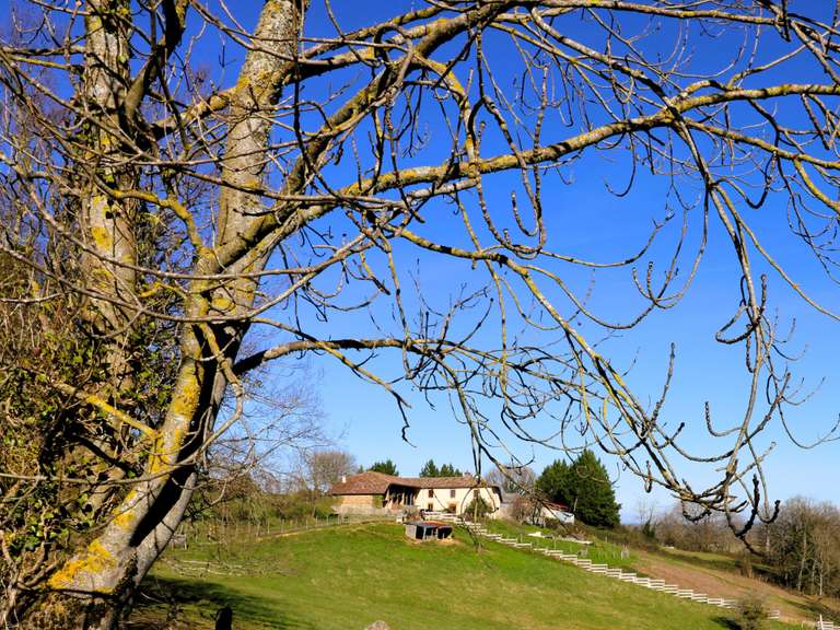 Maison Boulogne-sur-Gesse - 6 chambres - 330m²