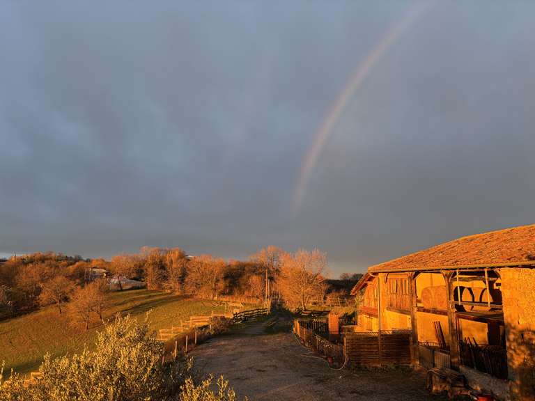 Maison Boulogne-sur-Gesse - 6 chambres - 330m²