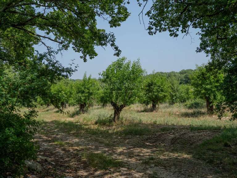 Property Bouquet - 7 bedrooms - 250m²