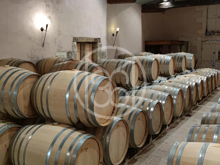 Vente Domaine viticole Bourg - 7 chambres