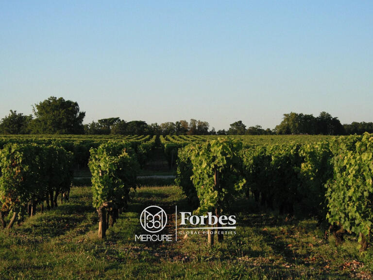 Domaine viticole Bourg - 7 chambres - 550m²