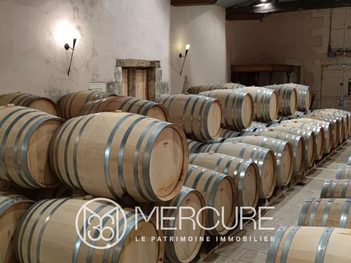 Domaine viticole Bourg