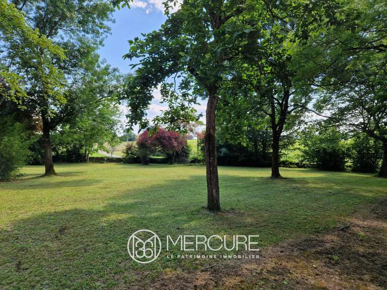 Domaine viticole Bourg - 7 chambres - 550m²