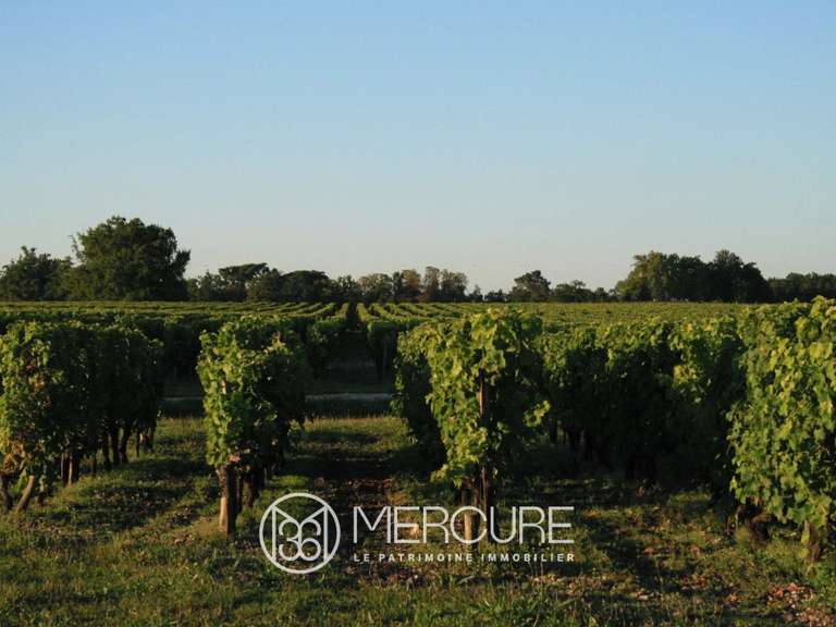 Domaine viticole Bourg - 7 chambres - 550m²