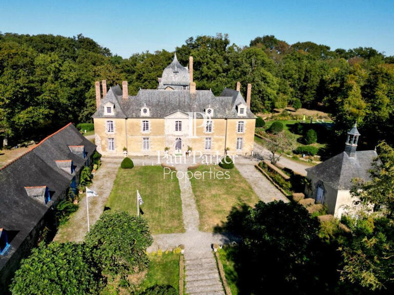 Sale Castle Bourg-des-Comptes - 9 bedrooms