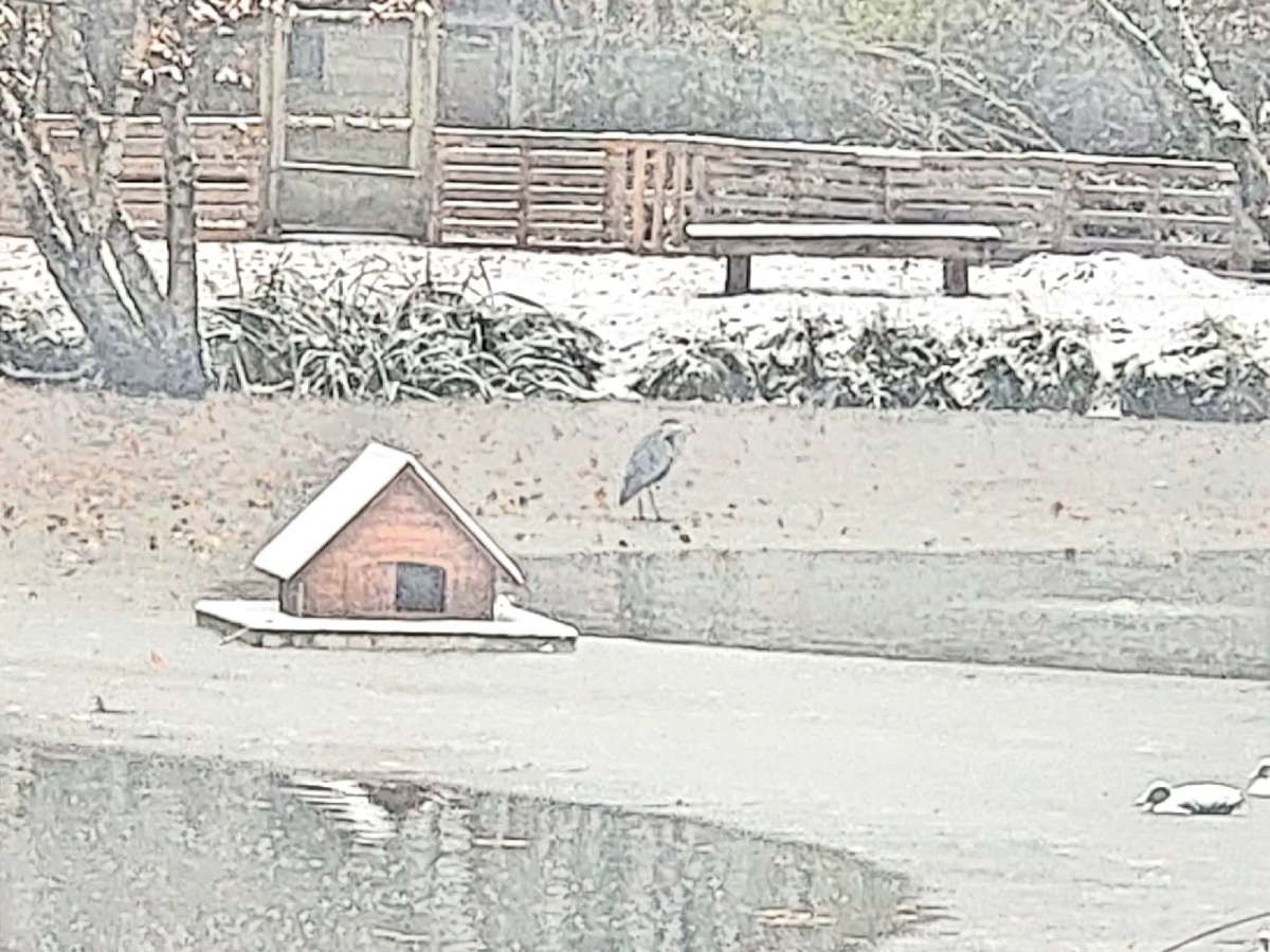 Maison Bourg-en-Bresse