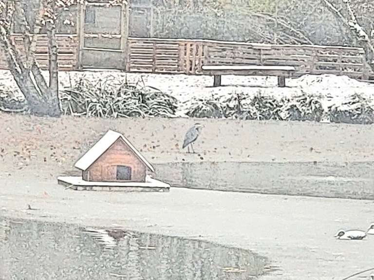 Maison Bourg-en-Bresse - 3 chambres - 162m²