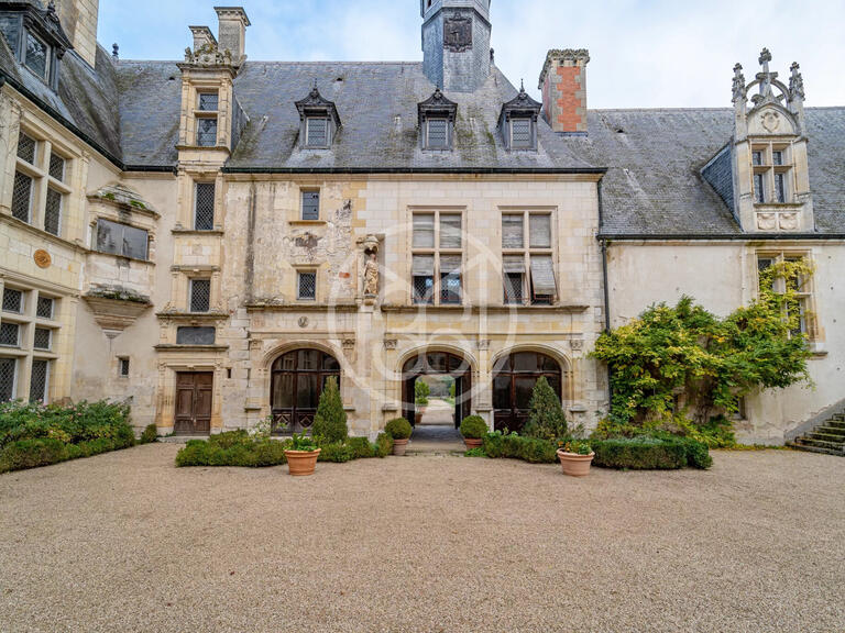 Sale Castle Bourges - 20 bedrooms