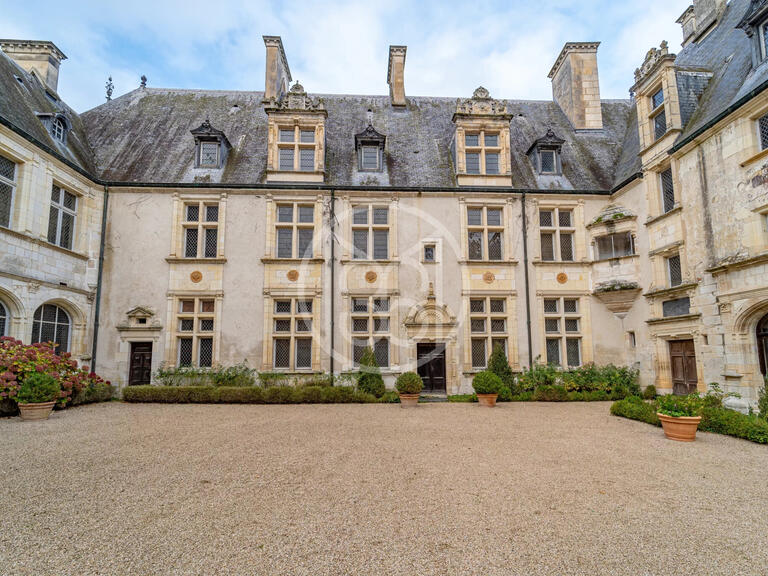 Sale Castle Bourges - 20 bedrooms
