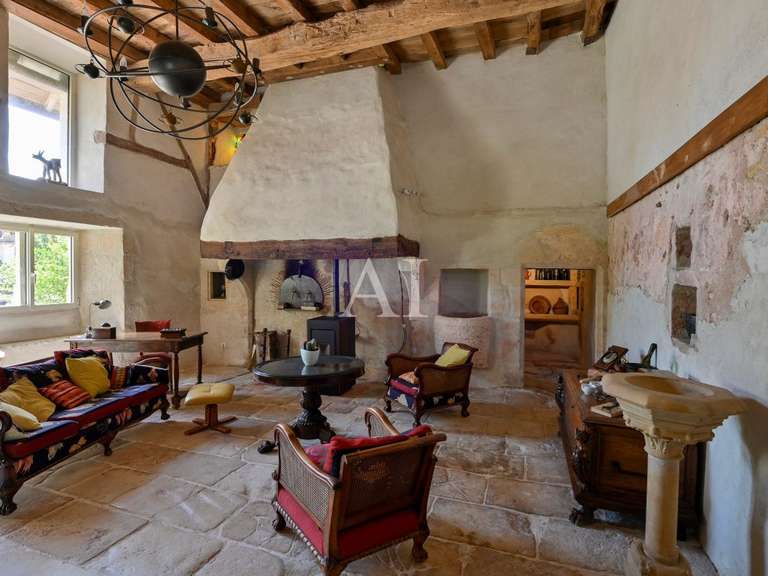 Château Bourges - 16 chambres - 815m²