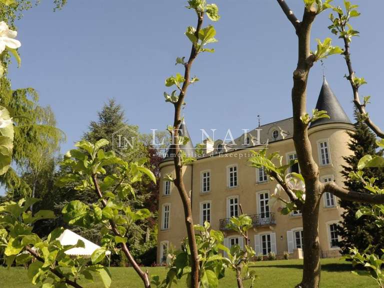 Château Bourges - 6 chambres - 500m²