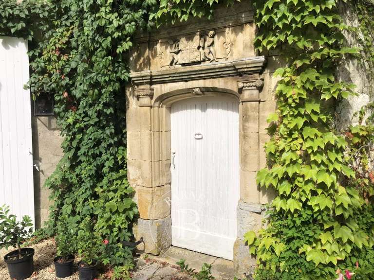 Manoir Bourges - 300m²