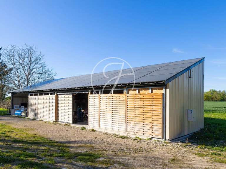 Propriété Bourges - 11 chambres - 1036m²