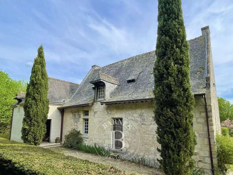 Manoir Bourgueil - 4 chambres - 230m²