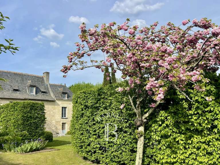 Manoir Bourgueil - 4 chambres - 230m²