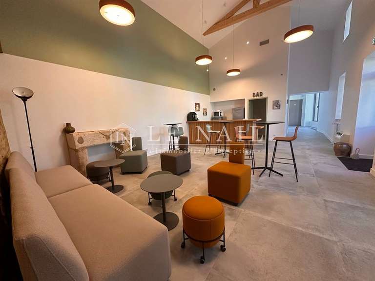 Château Bournezeau - 9 chambres - 600m²