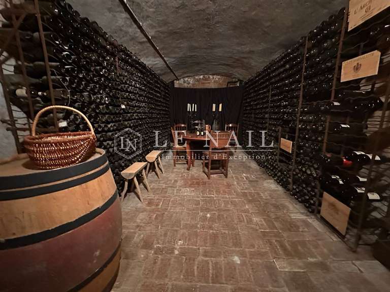 Château Bournezeau - 9 chambres - 600m²