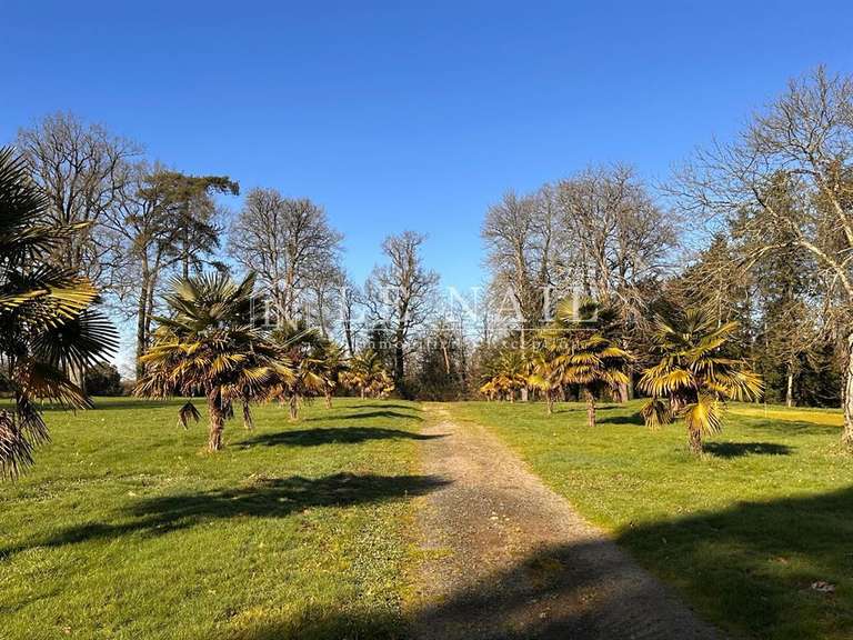 Castle Bournezeau - 9 bedrooms - 600m²