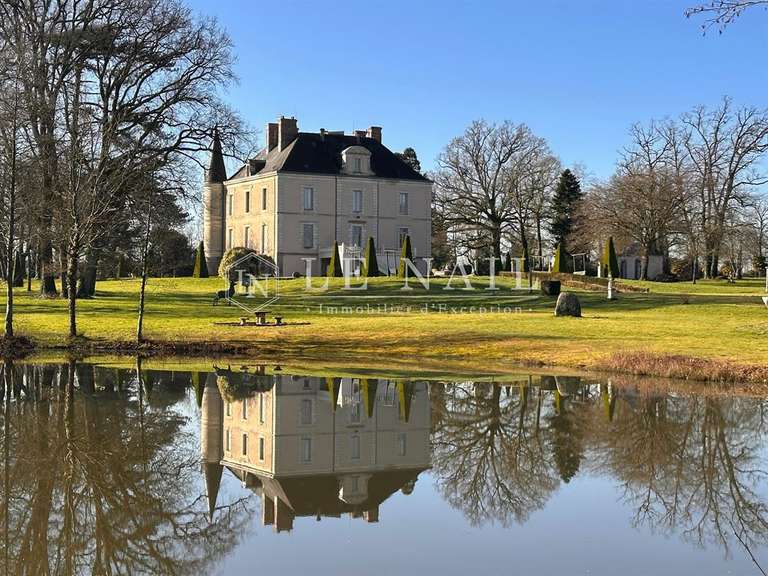 Château Bournezeau - 9 chambres - 600m²