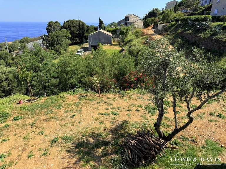 Maison avec Vue sur mer Brando - 3 chambres - 160m²