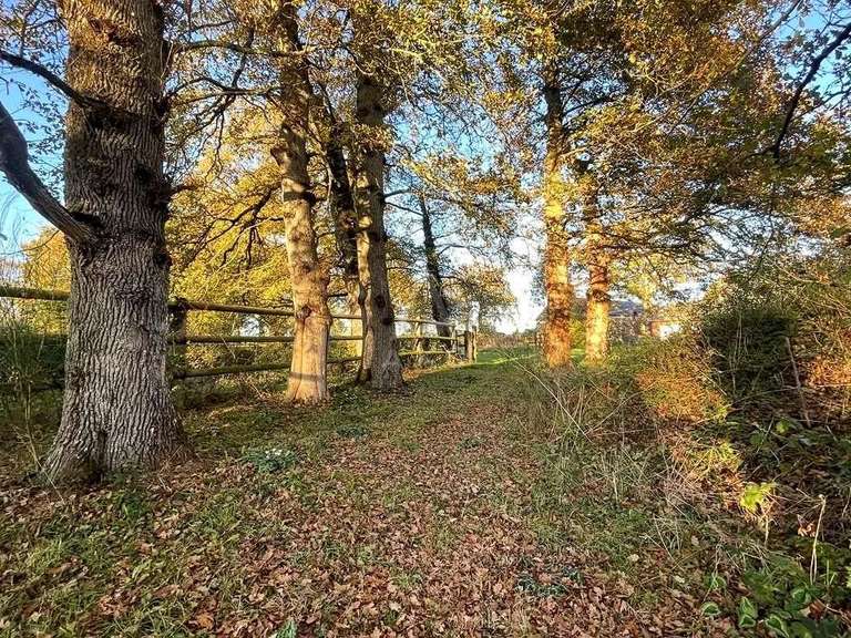 House Bréal-sous-Montfort - 8 bedrooms