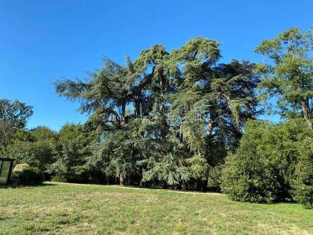 Maison Bressuire - 6 chambres - 380m²