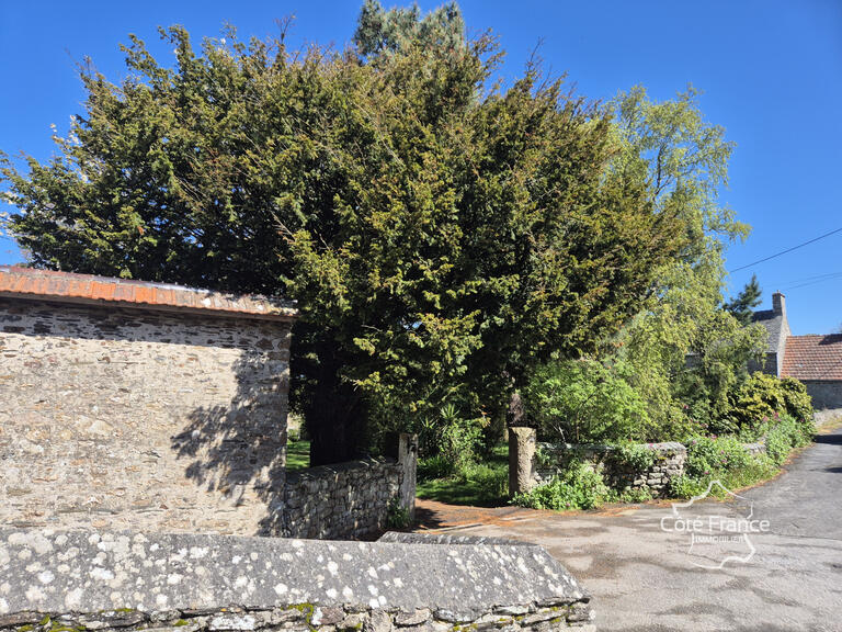 House Bretteville - 6 bedrooms - 213m²