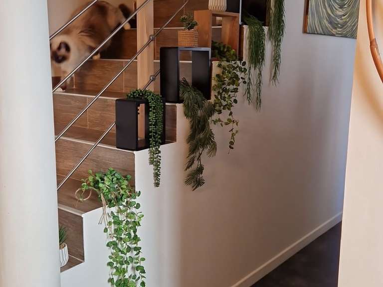 House Breuil-Bois-Robert - 10 bedrooms - 345m²