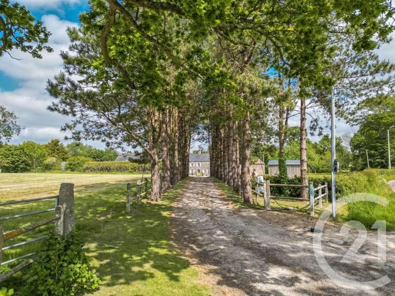 Maison Bricquebec-en-Cotentin - 3 chambres