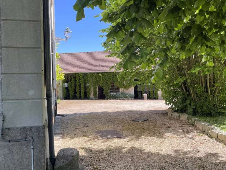Propriété Brie-Comte-Robert - 5 chambres - 250m²