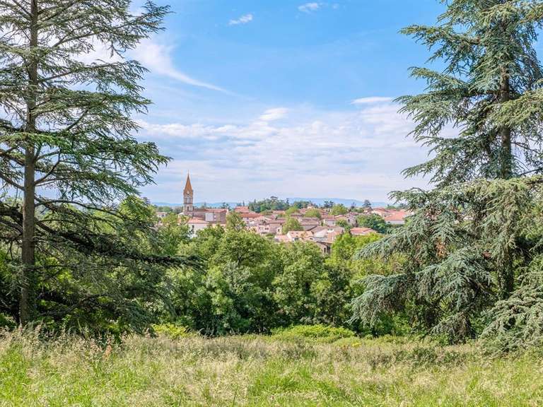 House Brignais - 8 bedrooms - 522m²