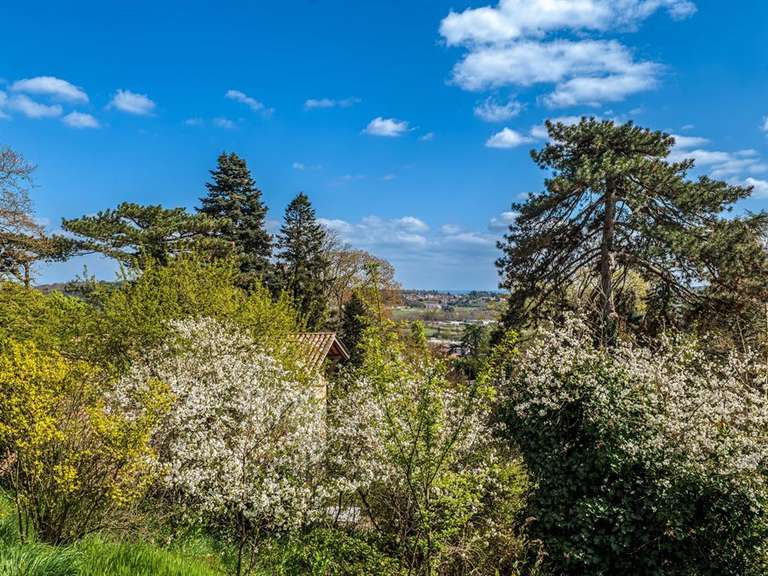 Maison Brignais - 5 chambres - 246m²
