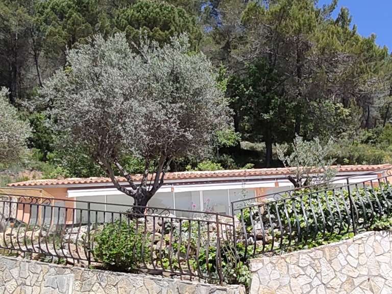 House Brignoles - 7 bedrooms - 300m²