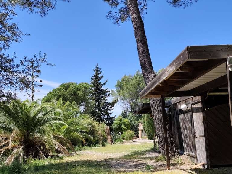 House Brignoles - 7 bedrooms - 300m²