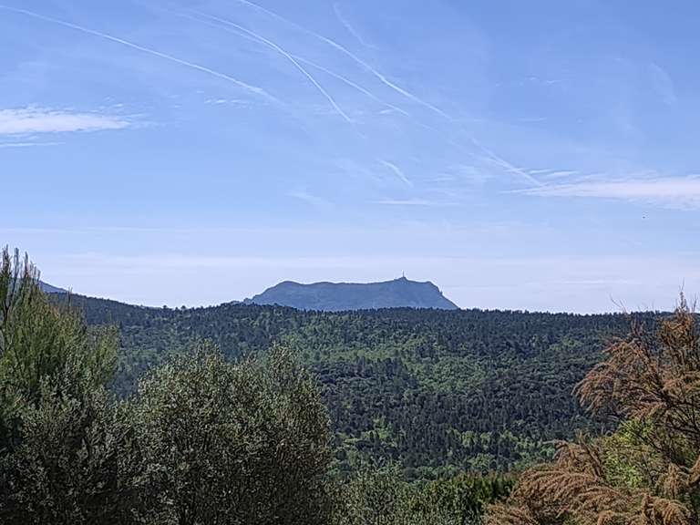 Maison Brignoles - 7 chambres - 300m²