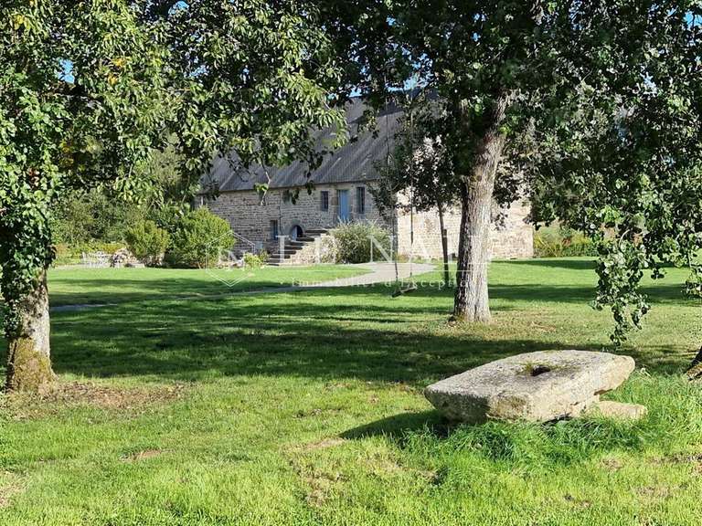 Manoir Briouze - 5 chambres - 300m²