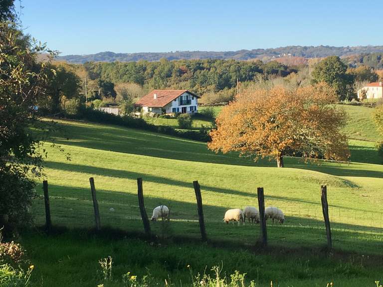 House Briscous - 4 bedrooms - 145m²