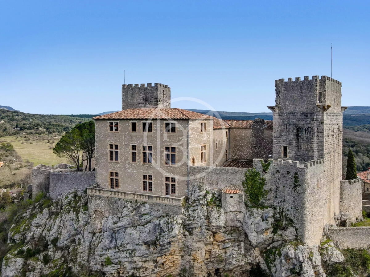 Castle Brissac