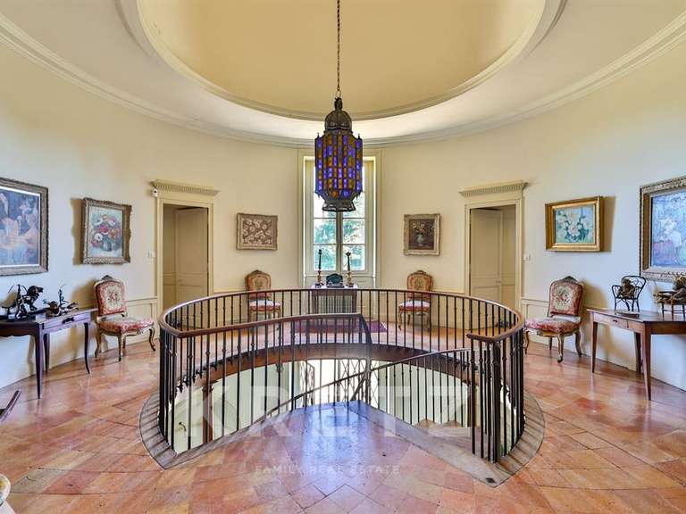 Castle Brives-sur-Charente - 9 bedrooms - 1200m²