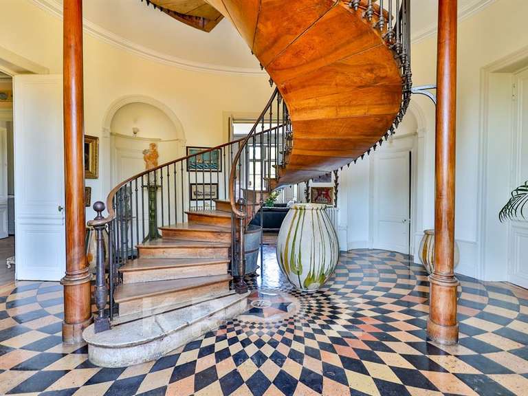 Castle Brives-sur-Charente - 9 bedrooms - 1200m²