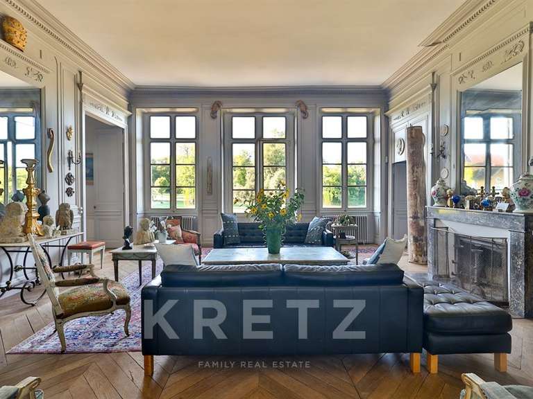 Castle Brives-sur-Charente - 9 bedrooms - 1200m²