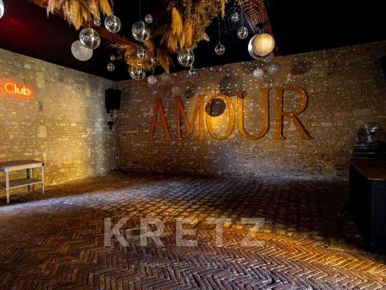 Castle Brives-sur-Charente - 9 bedrooms - 1200m²